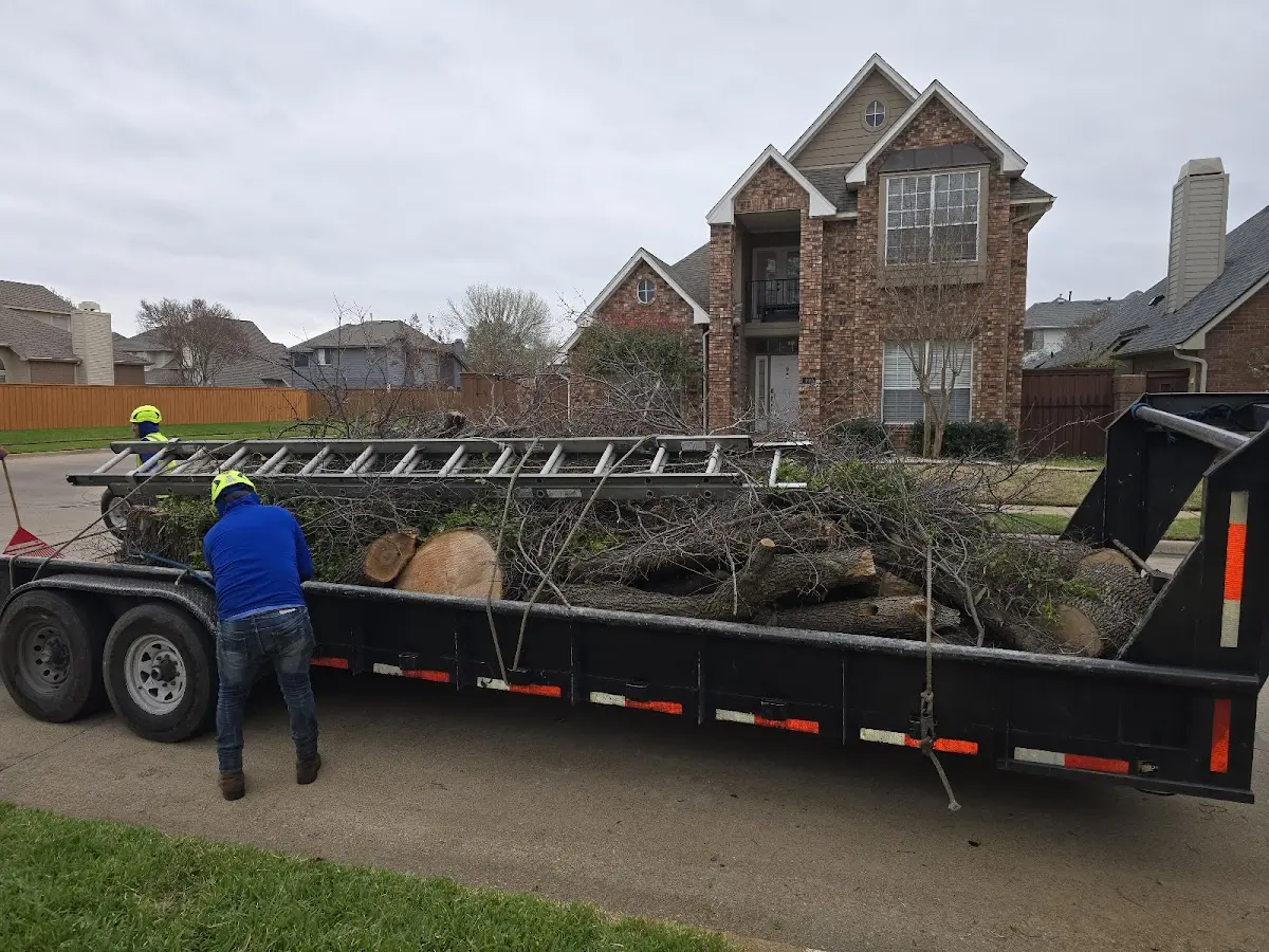 Expert Tree Removal with proper safety equipment in Thaxton